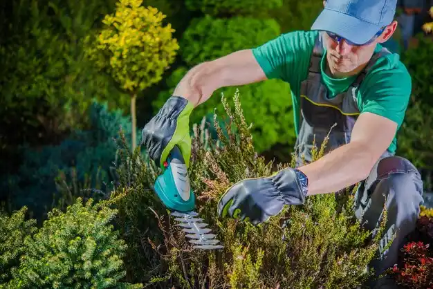 landscaping services Diamondhead